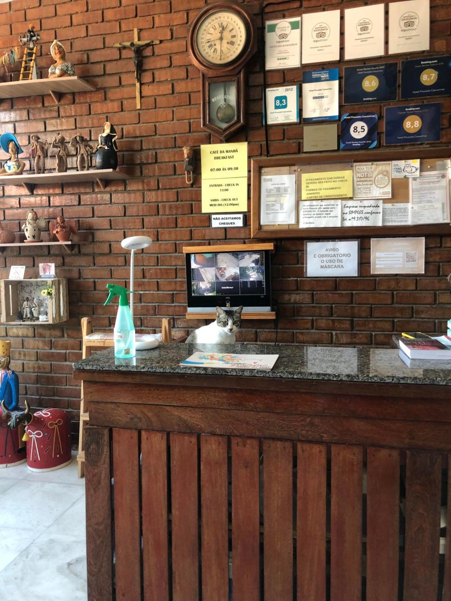 Hotel Pousada Casuarinas Ресифи Экстерьер фото
